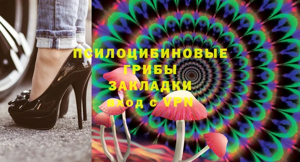 хмурый Богородицк