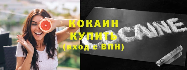 соль ск Богородск