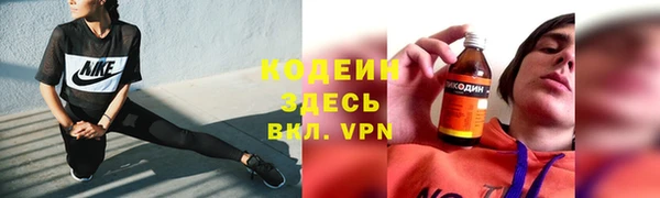прущий лед Богданович
