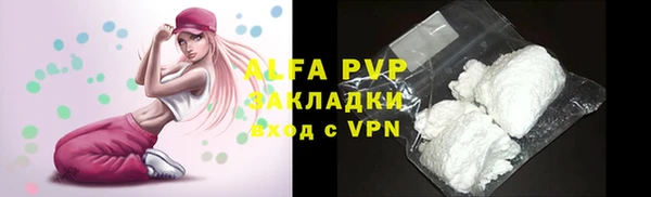 прущий лед Богданович