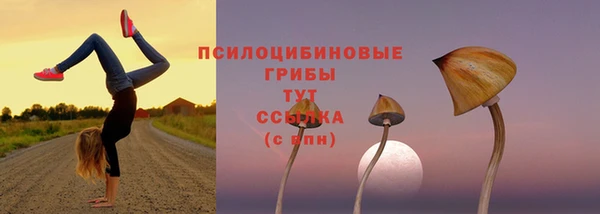 хмурый Богородицк
