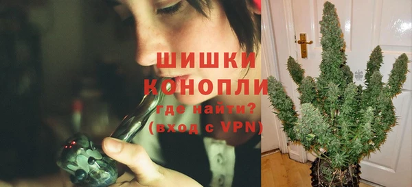хмурый Богородицк