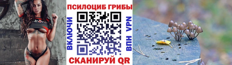 Псилоцибиновые грибы Cubensis  Кировск 
