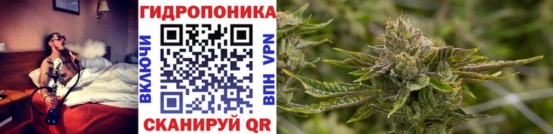 нарко площадка телеграм  как найти закладки  Кировск  Бошки марихуана AK-47 